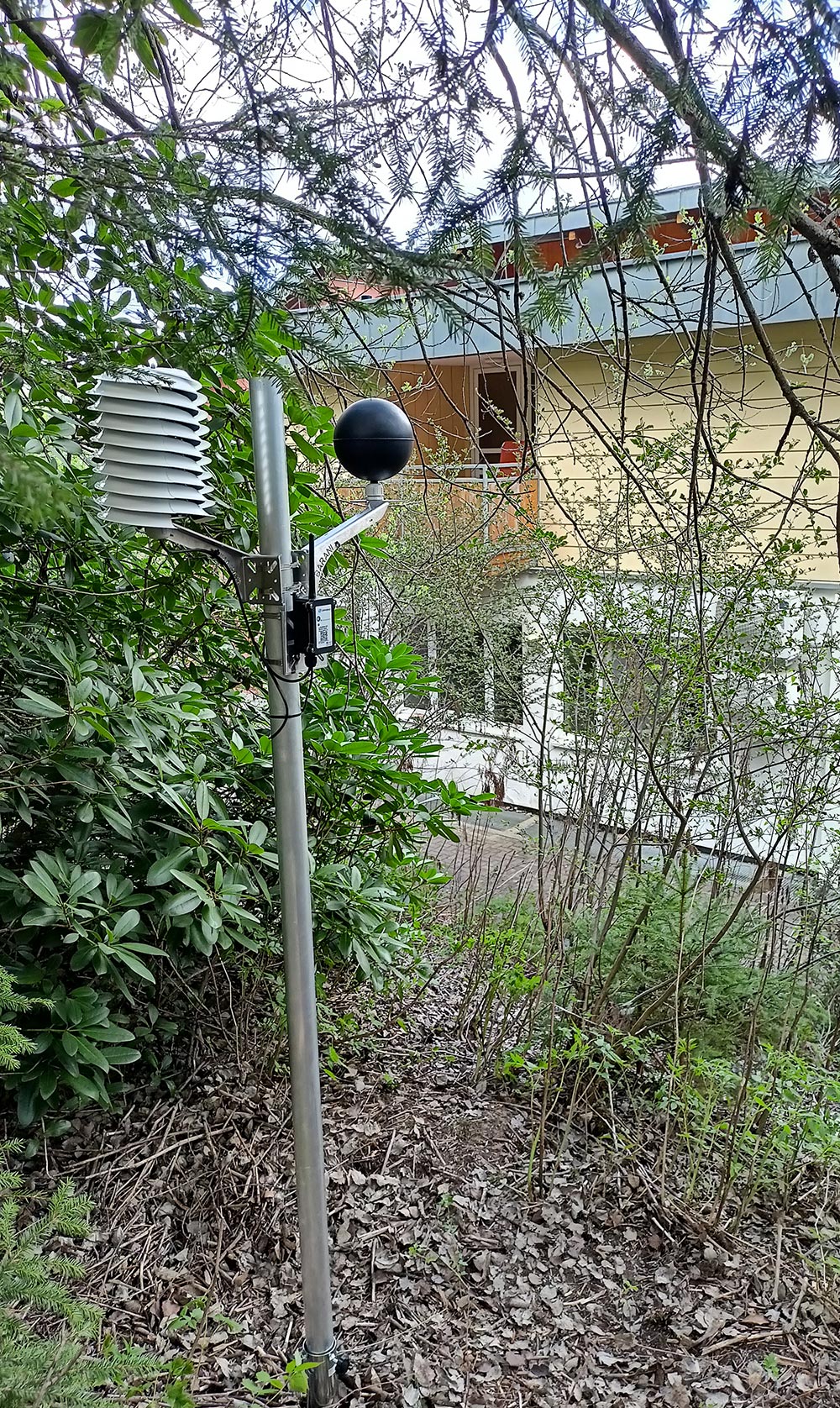 Foto 2